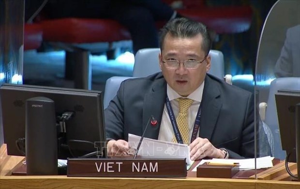 越南与联合国安理会：越南呼吁利比亚提速政治进程 按时成功进行选举 hinh anh 1