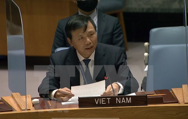 越南与联合国安理会：越南支持努力协助伊拉克应对当前的挑战 hinh anh 1