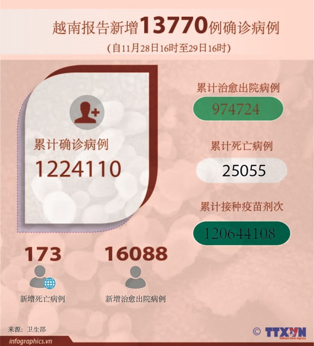 越南全国新增确诊病例13770例 hinh anh 2