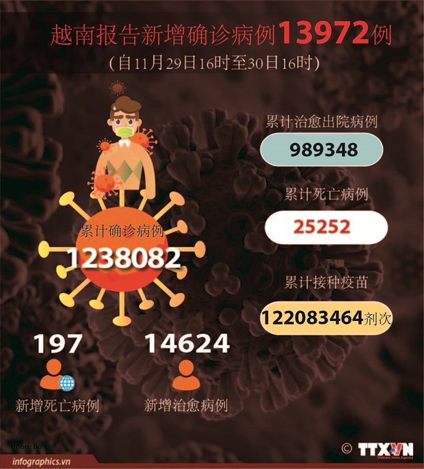 11月30日越南62个省市新增新冠肺炎确诊病例近1.4万例 hinh anh 2