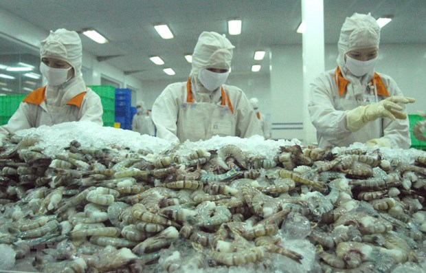 越南虾类对美国出口额猛增 hinh anh 1