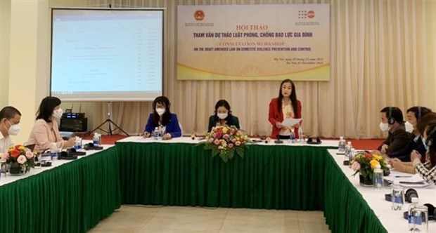 越南文化体育与旅游部就反家庭暴力法草案（修正案）征求意见 hinh anh 1
