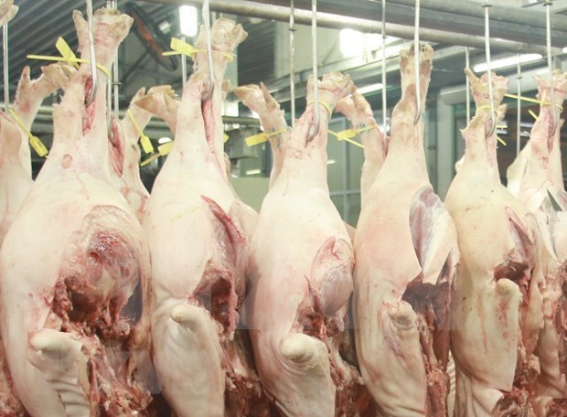 中国成为越南肉类最大出口市场 hinh anh 1