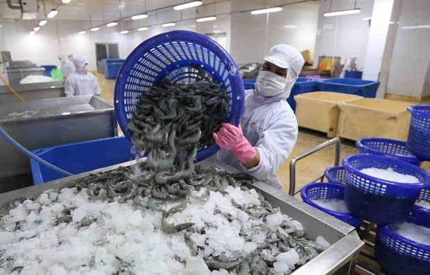 2021年越南虾类出口额可达39亿美元 hinh anh 1