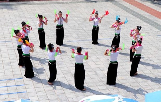 越南泰族群舞满足获列入《人类非物质文化遗产代表作名录》的各项标准 hinh anh 1