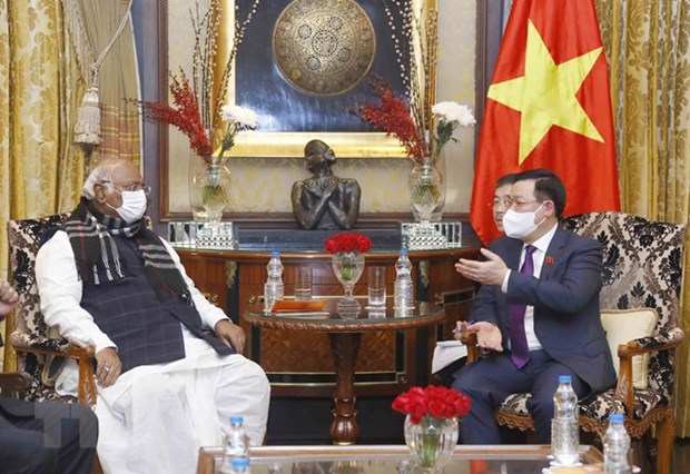 越南国会主席王廷惠会见印度各政党领导人 hinh anh 3