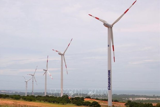 为越南绿色能源的未来开发海上风电项目 hinh anh 1
