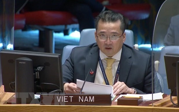 越南支持加强联合国安理会与非盟和平与安全委员会之间的合作 hinh anh 1