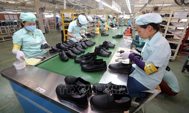 鞋类产品出口：设在越南的工厂占主导地位 hinh anh 1
