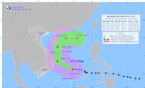 越南主动应对最大风力为13级阵风14级 的第9号台风 hinh anh 1