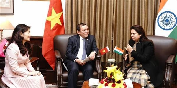 越南与印度合力推动文化和民间交流迈上新台阶 hinh anh 1