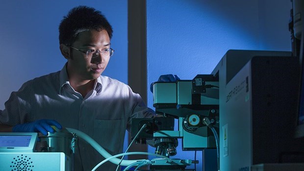 在澳越南年轻科学家荣获2021年金球科学技术奖 hinh anh 1