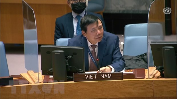 越南与联合国安理会：越南强调需要防范网络空间冲突风险 hinh anh 1