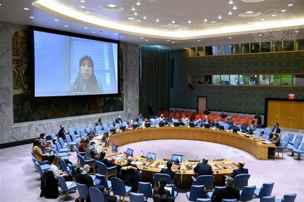 越南与联合国安理会：越南对叙利亚和埃塞俄比亚的局势表示关切 hinh anh 1