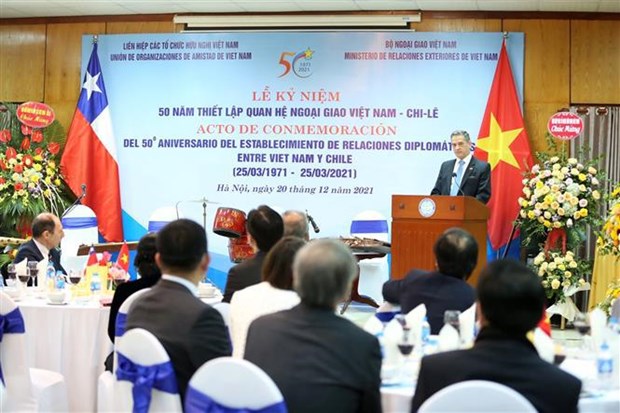 庆祝越南与智利建交50周年 hinh anh 2