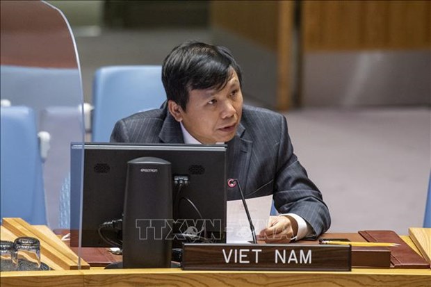 越南与联合国安理会：越南支持巴勒斯坦与以色列和平共处 hinh anh 1