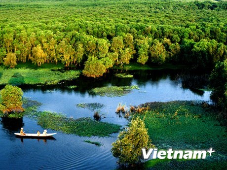 恢复和发展湄公河三角洲旅游业 hinh anh 1