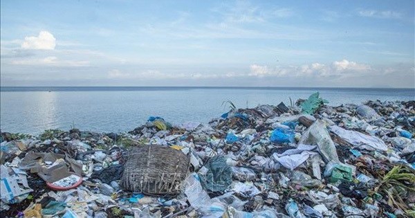 加强海洋塑料垃圾管理 实现水产品行业可持续发展 hinh anh 1