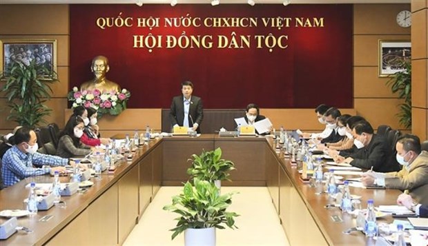 越南国会常务副主席陈清敏：掌握并评估新冠肺炎疫情对少数民族同胞的影响 hinh anh 2