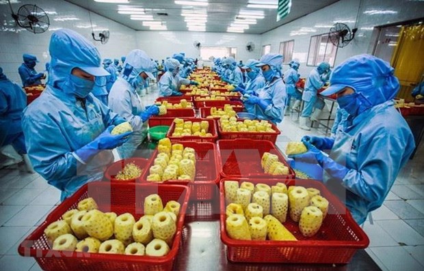 越南农产品出口必要适应欧盟新标准 hinh anh 1