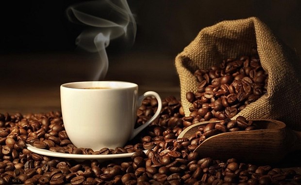 越南是美国第三大咖啡供应国 hinh anh 2