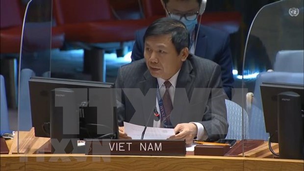 邓廷贵大使：越南提升了在联合国的多边外交层次和水平 hinh anh 2