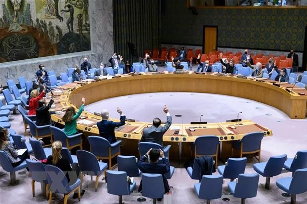 越南与联合国安理会： 越南圆满完成联合国安理会2020 -2021年任期非常任理事国一职 hinh anh 1