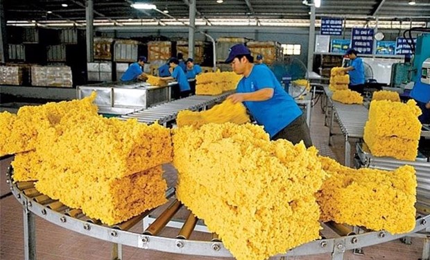 越南是印度第三大橡胶供应市场 hinh anh 1