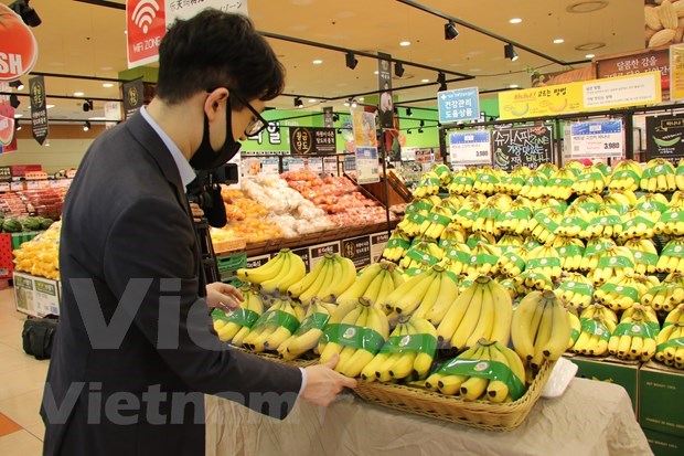 越南是日本第五大香蕉产品供应国 hinh anh 1