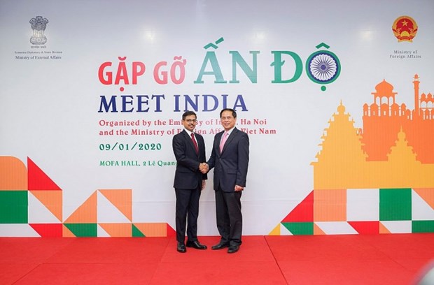 越南驻印度大使：越南—印度关系50年来取得突破性发展 hinh anh 2