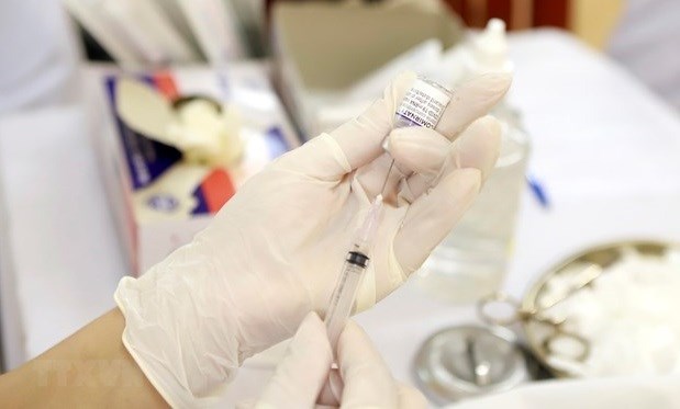 越南将为5岁以上儿童新冠疫苗接种工作进行调查 hinh anh 1