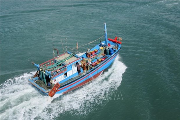 越南海洋岛屿：加强远海捕捞船队的能力 hinh anh 1