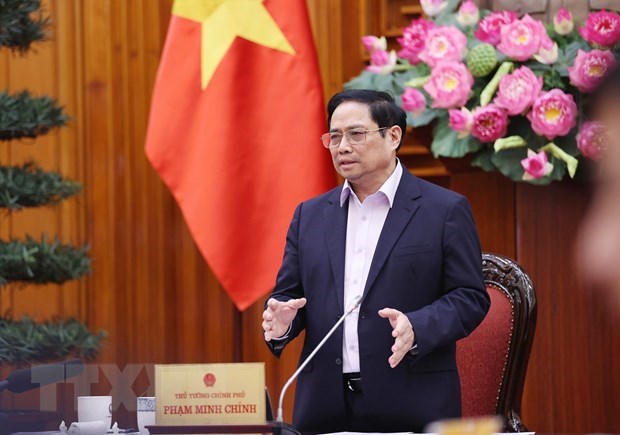 越南政府总理：加强监察检查工作 hinh anh 2