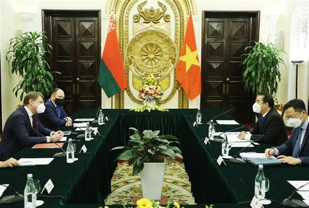 越南与白俄罗斯外交部副部长级政治磋商在河内举行 hinh anh 2