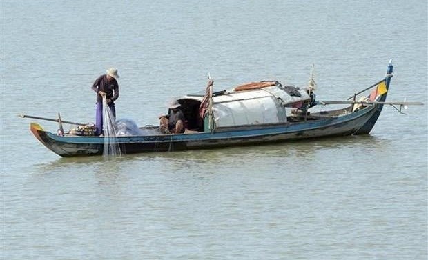 湄公河水位连续三年创历史新低 hinh anh 1