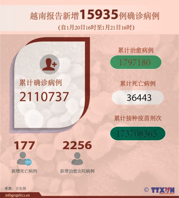 1月21日越南报告新增本土确诊病例15901例 新增治愈病例2256例 hinh anh 2