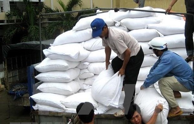 越南劳动荣军与社会部提请政府发放逾9877吨大米 帮助贫困人员欢度春节 hinh anh 1