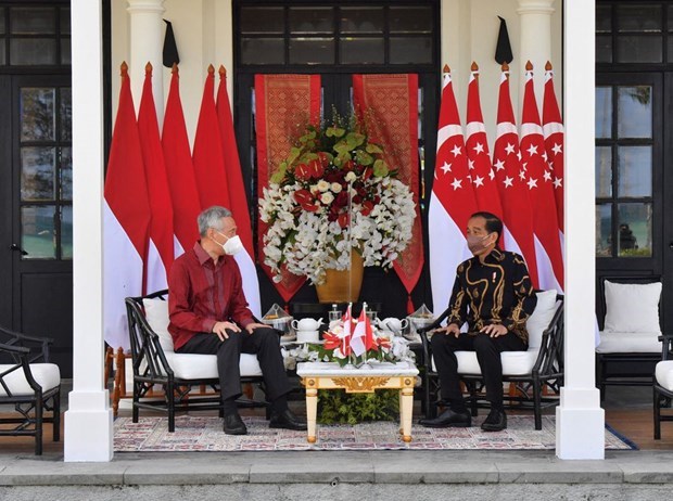 印尼与新加坡讨论共同关心的问题 签署多项合作协议 hinh anh 1