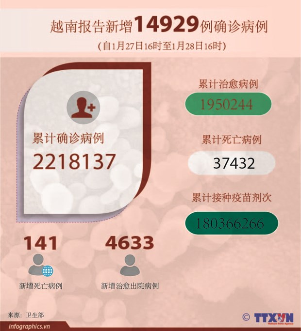 1月28日越南新增确诊病例有所下降 4633例治愈出院 hinh anh 2
