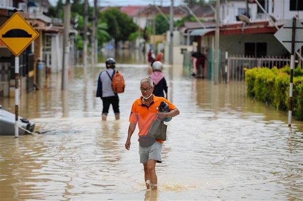 马来西亚最近发生的洪灾造成经济损失达近15亿美元 hinh anh 1