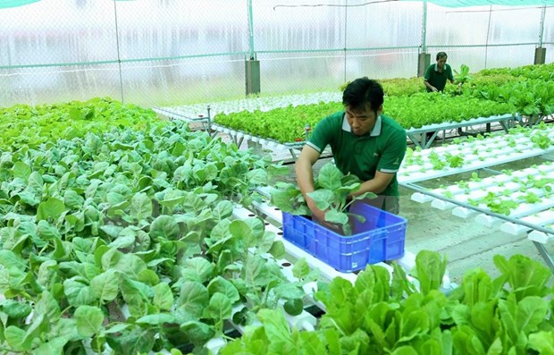 越南政府批准《2021-2030年阶段，远期展望至2050年越南农业与农村可持续发展战略》 hinh anh 1