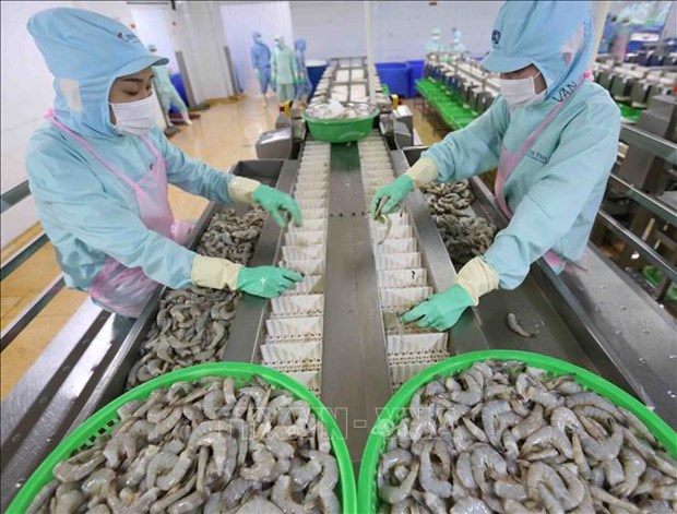 2022年越南虾行业迎来新机遇 hinh anh 1