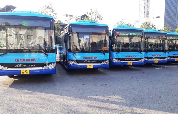 今日河内市121条有补贴公交车线路中的118条恢复正常运营 hinh anh 1
