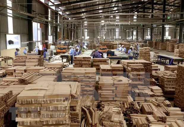 木材和非木材林产品出口瞄准180-200亿美元的目标 hinh anh 1