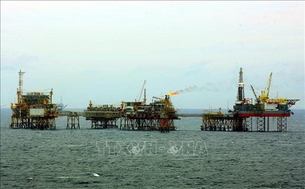 越南国家石油公司 1 月份原油产量以24.2%超额完成目标 hinh anh 1