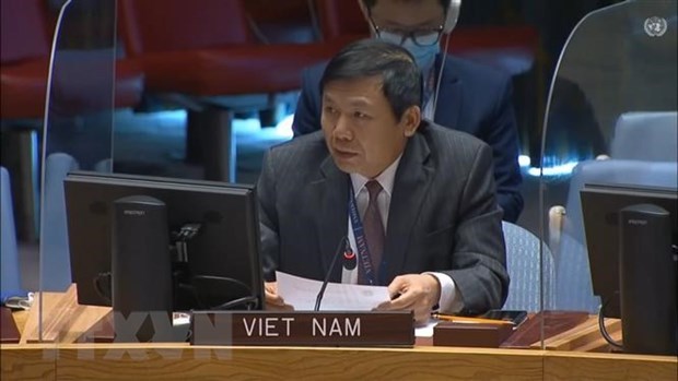 越南在联合国分享减贫工作和克服危机的经验 hinh anh 1