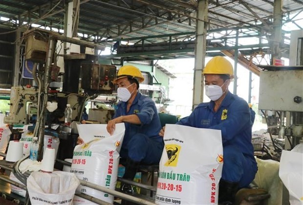 1月份越南肥料出口增长682% hinh anh 1