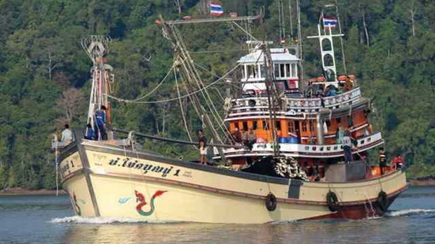 泰国成立特种力量打击非法捕捞活动 hinh anh 1