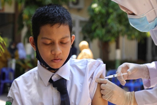 老挝将为6-11岁儿童接种新冠疫苗 hinh anh 1