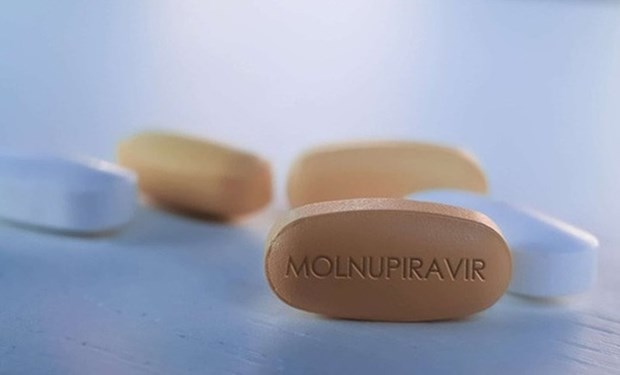 越南卫生部向3种含有莫努匹韦的国产药品发放药品经营许可证 hinh anh 1